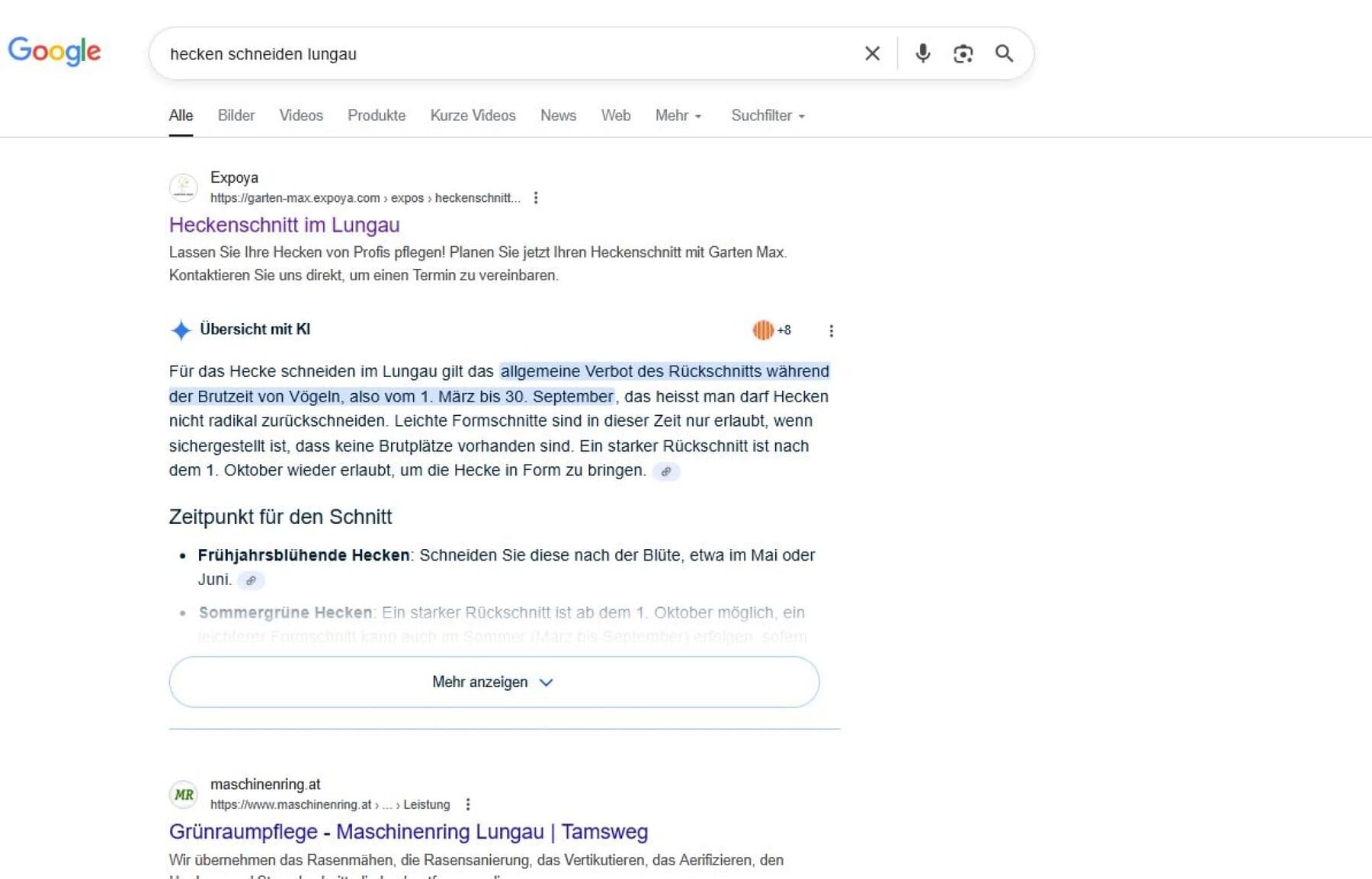 Google-Suchergebnis mit einer Expoya-Landingpage auf dem ersten Platz für eine lokale Suchanfrage